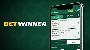 Quick and Easy Betwinner Deposits A Comprehensive Guide 2076978408 Quick and Easy Betwinner Deposits A Comprehensive Guide 2076978408