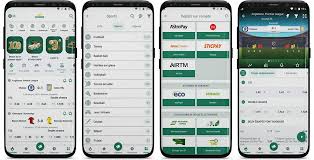 The Thrill of Betting Exploring BetWinner Aviator